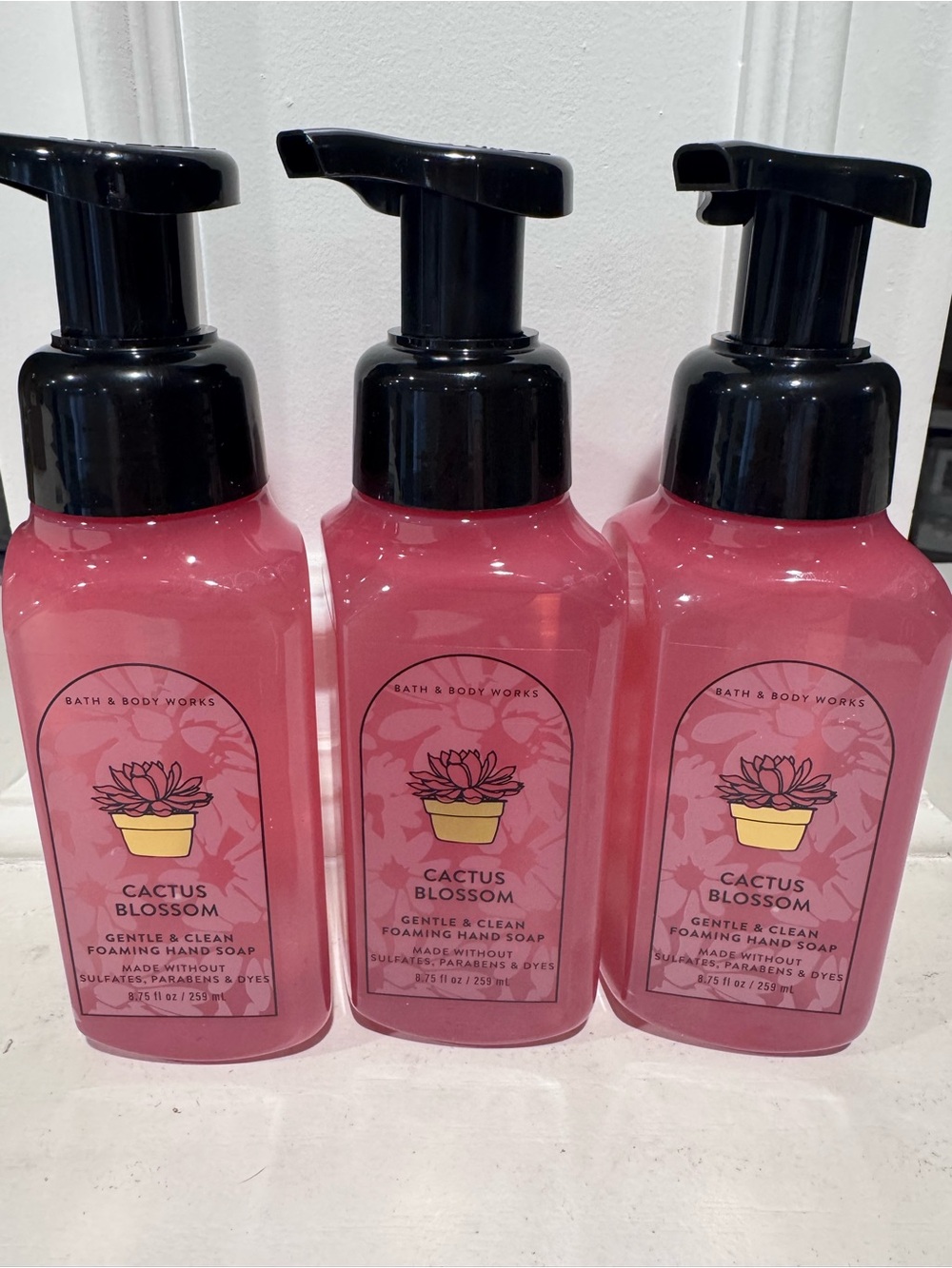 Bath & Body Works Cactus Blossom Gentle Foaming Hand Soap - Pink set of 3 NWT